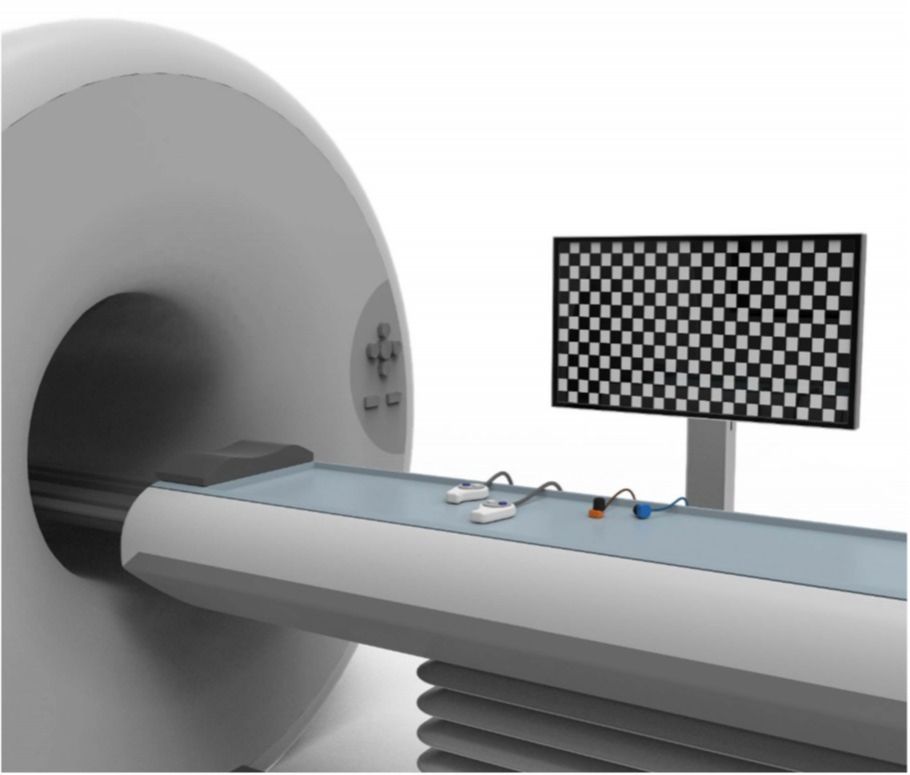 脑功能视听觉刺激系统