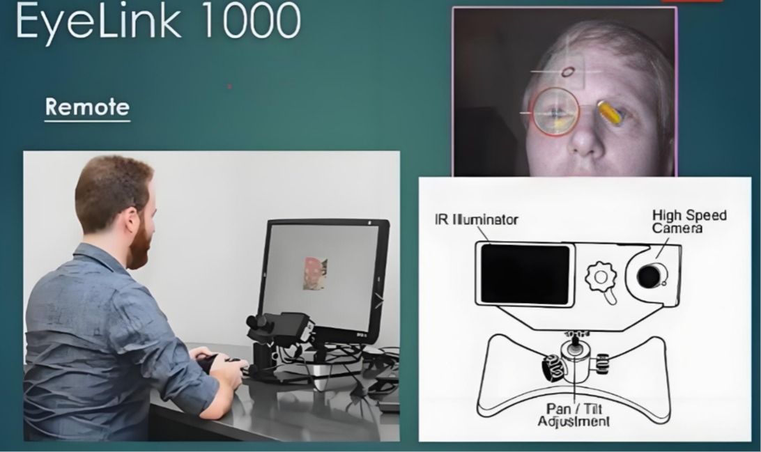 核磁兼容眼动追踪系统