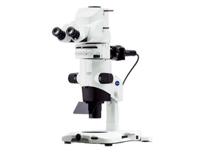 体式荧光显微镜