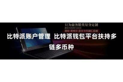 比特派账户管理 比特派钱包平台扶持多链多币种