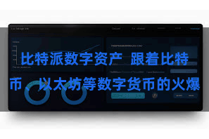 比特派数字资产 跟着比特币、以太坊等数字货币的火爆