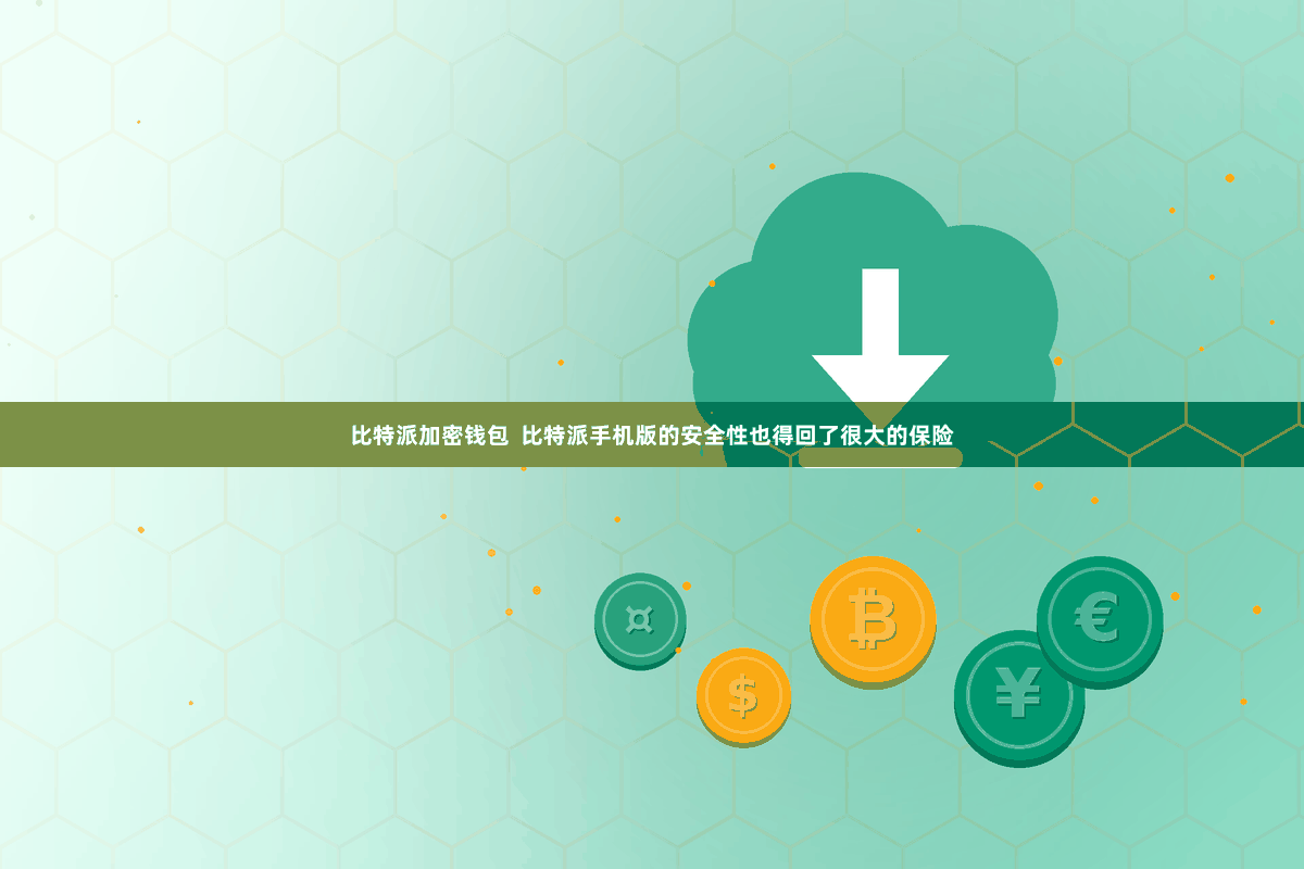 比特派加密钱包 比特派手机版的安全性也得回了很大的保险